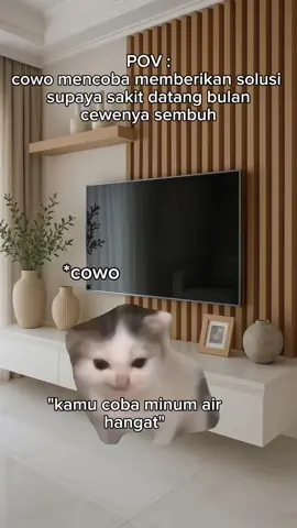 salahnya dimana? kan memberikan solusi #memekucing #datangbulan #minum #lucu #pov 