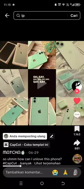 💚 #ip11 #foryou #tiktok #fyp 