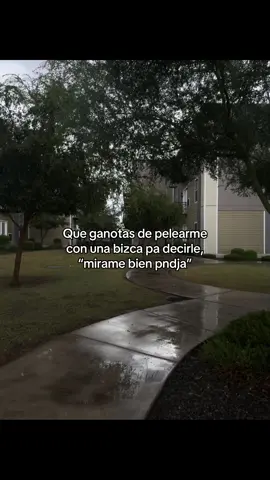 #az #explore #fyp #viral #paratii #trending 