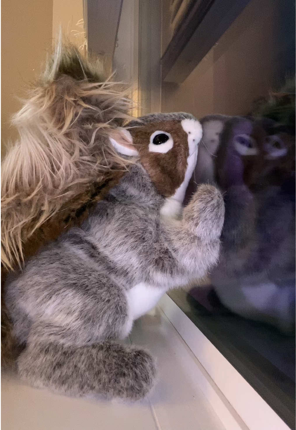 Seems like everyone enjoyed this song so thought I’d dance on the window to it! #fyp #abcxyz #puppet #dancing #remix 