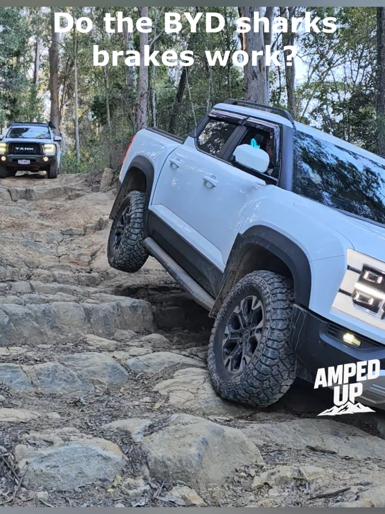 Let's hope the BYD brakes continue to work after this... #BYD#BYDShark#4wd#4x4#4x4life#foryoupagereels