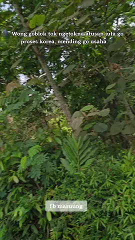 usaha dulu / proses korea dulu guys  jajal coment 😁 #masuung #masukberanda #pmikorea🇮🇩♡🇰🇷 #viralvideo #xybca 