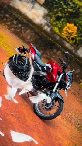 Red arrow 💘  #ns200 #trending #srilanka #foryoupage #brandnew 