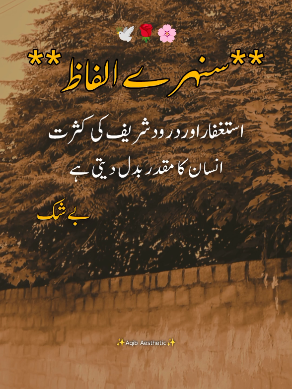 Dear tiktok team don't under review my video🌸😊 #fyp #poetrystatus #aqibaesthetics #urdupoetry  #asthetics 