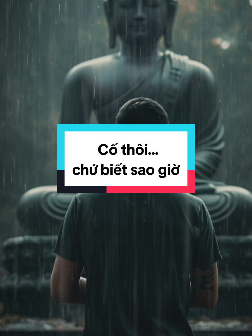 Cố thôi chứ biết sao giờ...#phatphapnhiemmau #phatphap #loiphatday #baihoccuocsong #phongthuygapmayman 