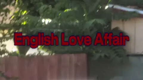 my english love affair #cortis #kpop #edit #코르티스 #5sos 