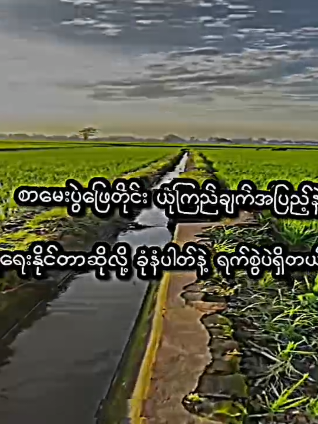 Eng 🐕ဖြစ်ပီး...🤧 . #lyrics #viral #moots? #viewတေရှယ်ကျနေတာ🙂🙂🙂 #crdစာသား 