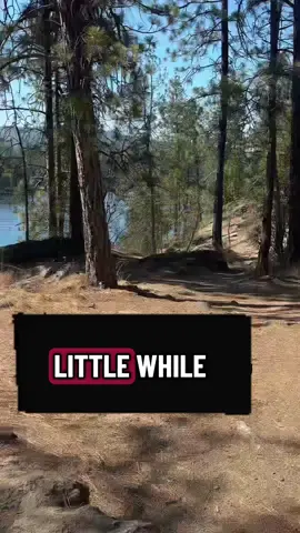 Me! 🙋🏻‍♀️