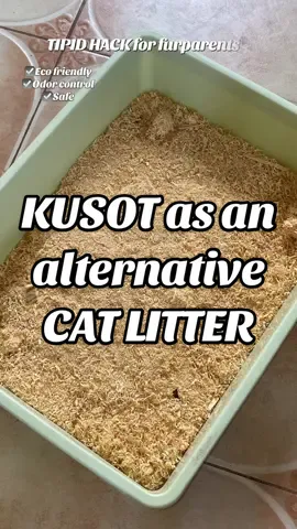 tipid tips para sa furparents, kusot cat litter #catlover #catlitter #foryoupage #fyp 
