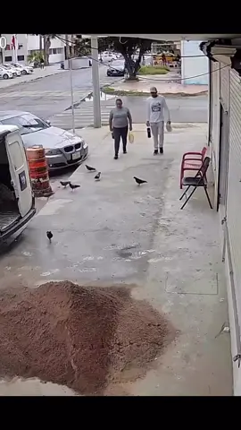 ay no diosito, perdoname por reirme de esto. 🤣