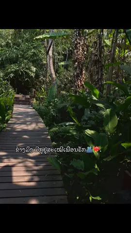 ມີກູຢູ່ສະເໝີ@Arm Barber #story #Jingjo 