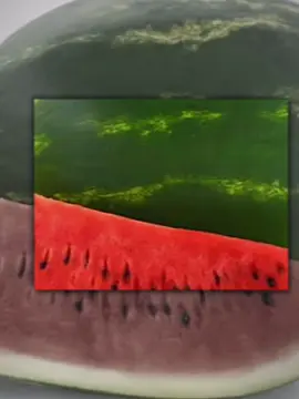 Send this to someone that would eat this#relateable #fyp #friedchicken #gaterade #koolaid 