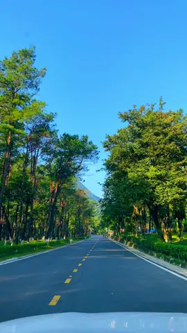 Nếu anh gặp em từ đầu, có lẽ đã không ai qua bể dâu..!!!😌| #canhdep #nhachay #binhyen #dulichvietnam #bavi 