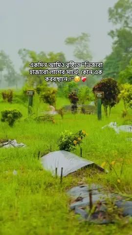 😌❤️‍🩹🕊️ .  . . . . . .#foryou #foryoupage #https #trending #fypシ 