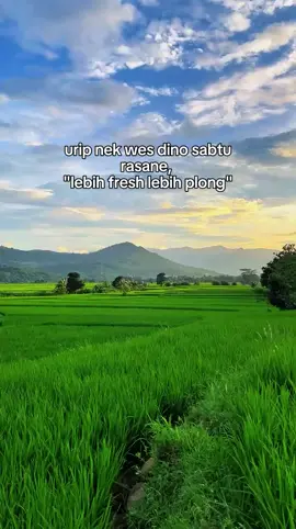 tenan pohh rasane legooo9 😂😂 #kerja #sabtu #gajian #fyp #foryoupage 