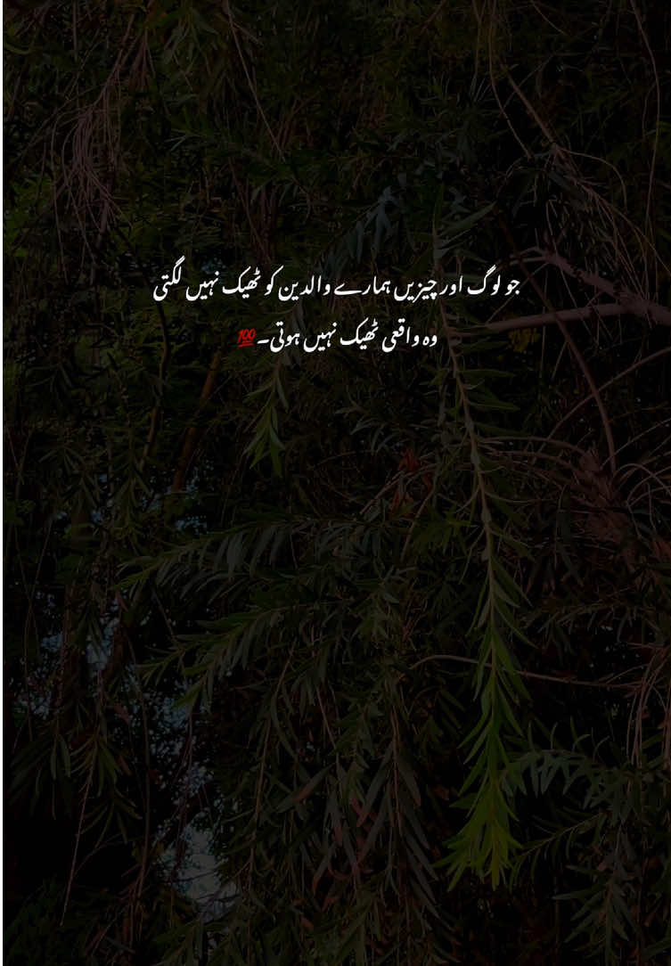 Right💯#grow #fyp #poetry #viralvideos #aestheticvideos 