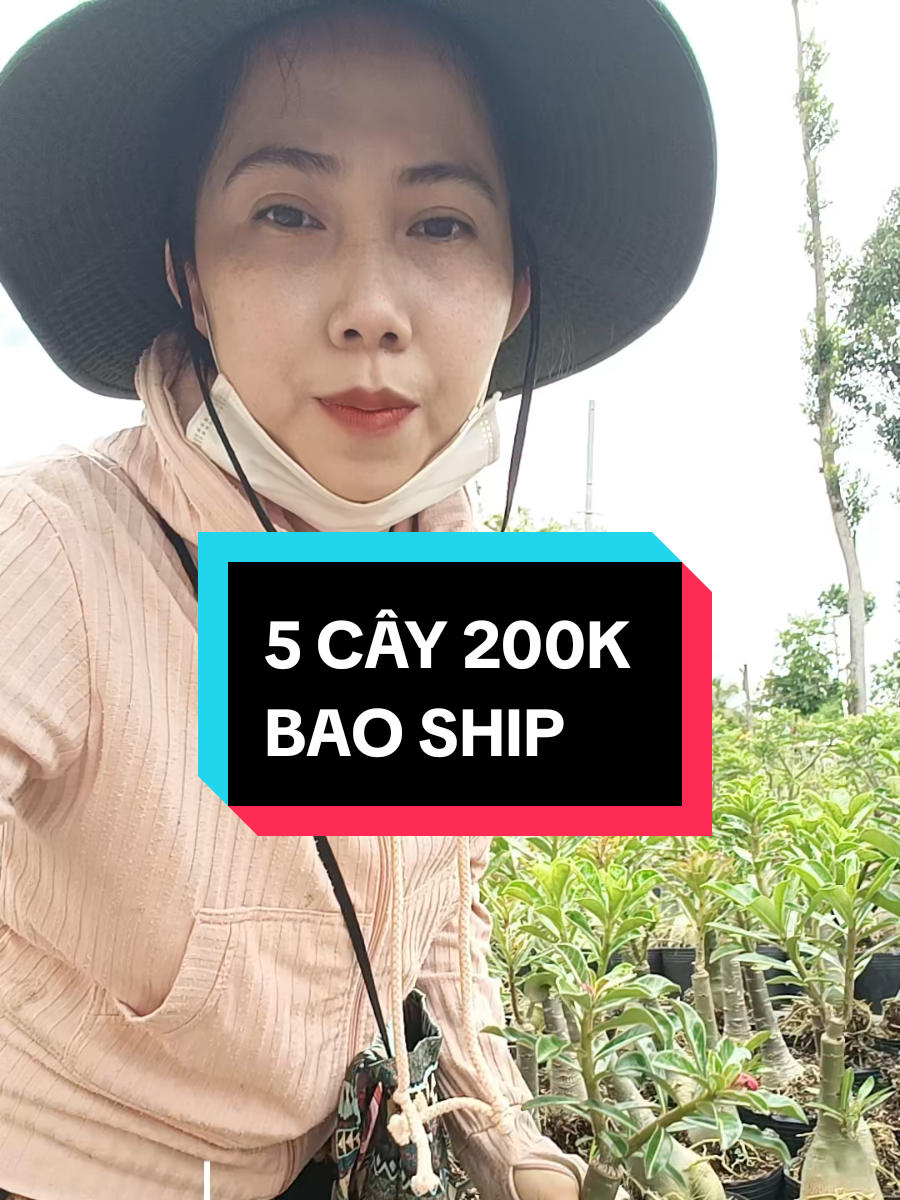 Sứ ghép 1 cốt #VUONSUGOTA  combo 5 cây 200K BAO SHIP
