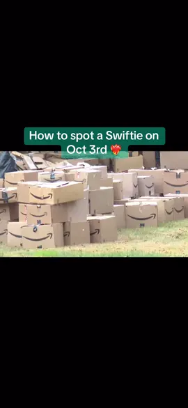 My neighbors are going to wonder what’s going on, like can’t a girl have hobbies 🤣🤣🤣 #taylorswift #swiftie #fyp #TS12 #hobbies 