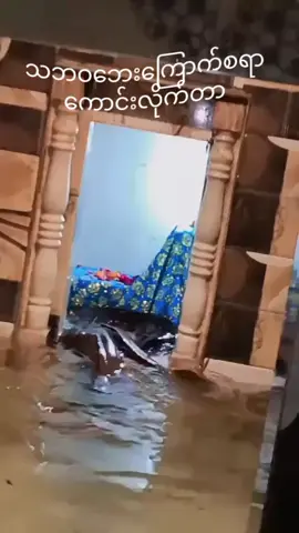 #ဗဟုသုတအဖြစ်တင်ပေးတာပါနော် #လောကလူသားအားလုံးအေးချမ်ကြပါစေ #foryou #myanmartiktok🇲🇲🇲🇲 
