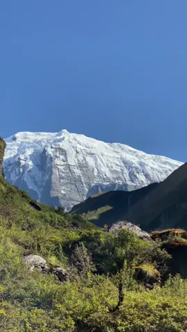 Solo trek. #tilichopeak #travelnepal #northabc #naturetok 