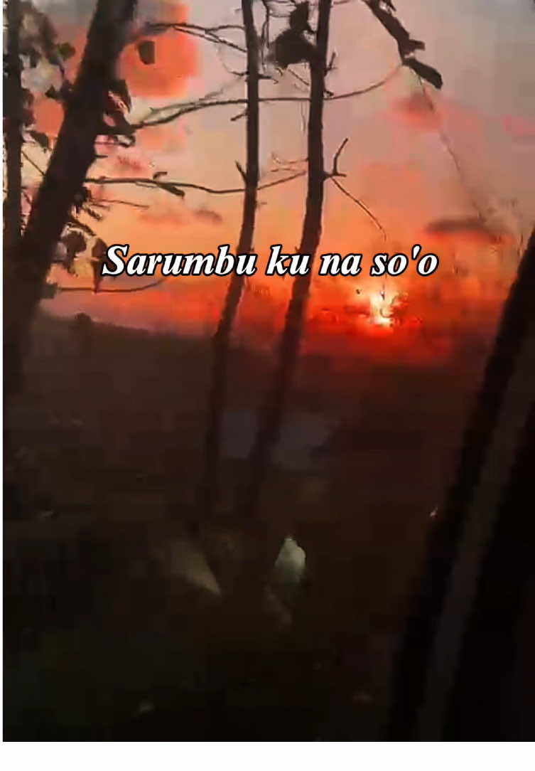 Ari ee sarumbu ku na so'o #bimadompu #fypシ゚ #lagubimadompu #virall #rawambojo 