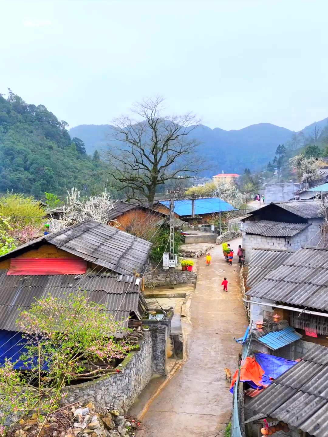 Bản Lao Xa, ngôi làng cổ tích ở Hà Giang 🌸 #amazingvietnam #xuhuong #dulich #hagiang