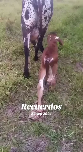 #Recuerdos 