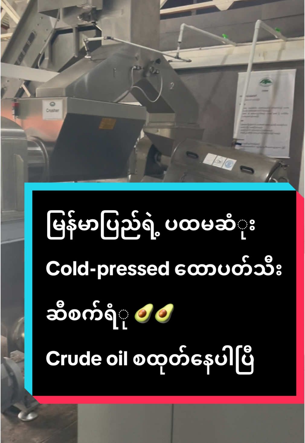 #မြန်မာပြည်တွင်ဂုဏ်ယူစွာထုတ်လုပ်သည်🥑 #Avocadooilfactory🇲🇲 #ထောပတ်သီးဆီစက်ရံု🇲🇲 #ထောပတ်သီးဆီပင်ရင်း 