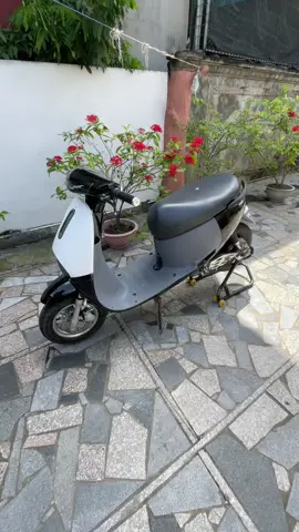 k đẹp nhưng phải sạch hihii