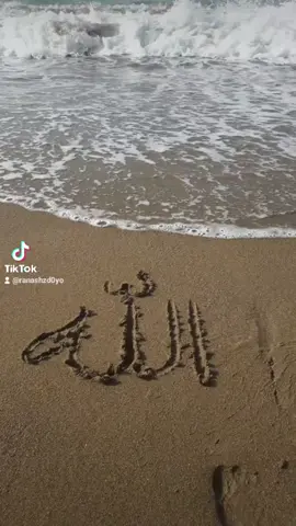 🌹 #for you 🌹# for you 🌹🌹🌹# for you 🌹# for you 🌹#I love you🌹🌹🌹🌹🌹🌹🌹🌹#creatorsearchinsights 