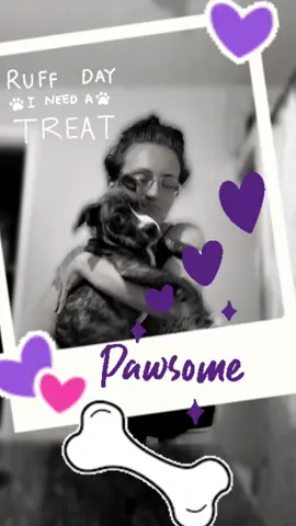 TORETTO #dog #newpuppy #toretto #foryou #fypシ #fypシ゚viral #DO #ME #peekaboo 🐾🐾🐾