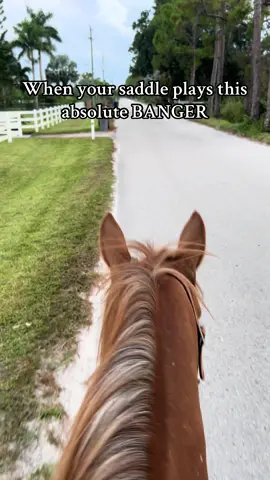 Best one out there #fyp #saddle #horses #lol #barrelracer