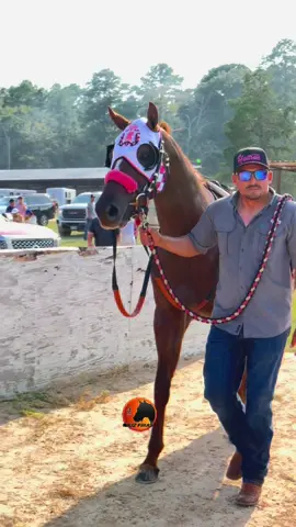 #carrerasdecaballos🐎🥇🏆🎖 #carrerasdecaballos #carrerasdecaballos❤️😍🐎🥇🏆🎖 