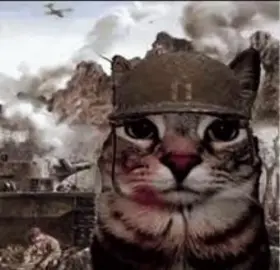 حقيقي 🥸✌🏿+دخيل الله 🤩🙏🏿#اكسبلور #حقيقي #meme #شتبوستر #ميمز 