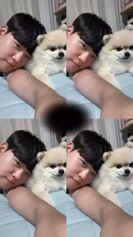 họ đag call video với nhau đó #guke #guria #gumayusi #keria 