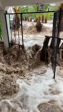 magdalena de Kino Sonora 