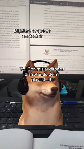 Bien enfocado😅 #trabajo #jefe #oficina #humor #fyp 