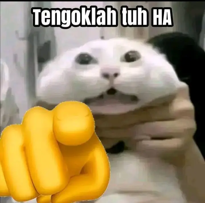 nih mentahan😹 #mentahanfoto#mentahan#meme#jjmeme 