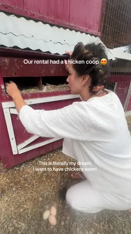 Chickens in suburbia… yes please! 😍 #chickencoop #niasanchez #scv 