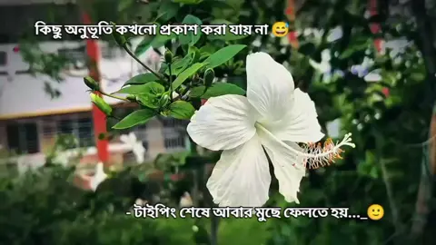 কিছু অনুভূতি কখনো প্রকাশ করা যায় না 😅 টাইপিং শেষে আবার মুছে ফেলতে হয়..._🙂 #ভাইরাল_ভিডিও #সাপোট_করবেন_ইনশাআল্লাহ_সাপোর্ট_পাবেন #