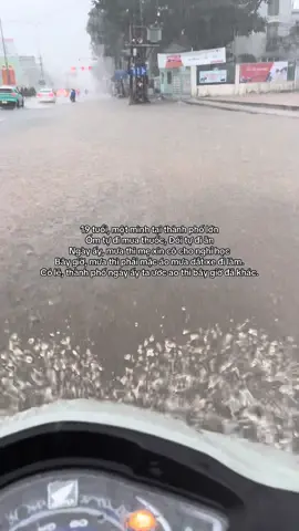 Cố lên, ngày giông bão mà❣️. Ai cũng phải lớn thôi❣️🥹#xuhuong #fly #nguyenvansang #bão 