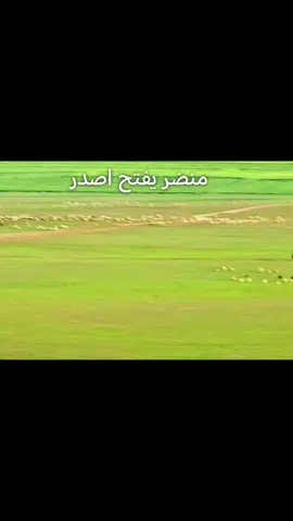 شرايكم بل اجواء 