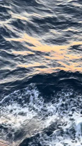 #cbfestlombok #cbindonesia #cbfestlombokvolume2 #cb 