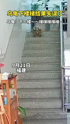 教你如何快速下楼梯...😂