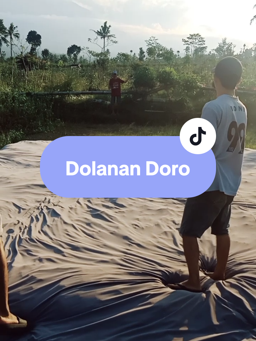 cah Lanang Dolanan Doro (merpati) #cahlanang #merpatikolong #merpati #pigeon #barokahmerpati 