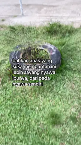 #galaubrutal #xybca #4u 