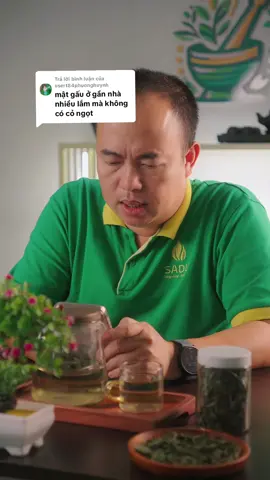 Trả lời @usert84phuonghuynh Mật gấu ở nhà nhiều lắm mà không có cỏ ngọt #congot #thaoduoc #SADU #cỏngọt #Sadufarm 