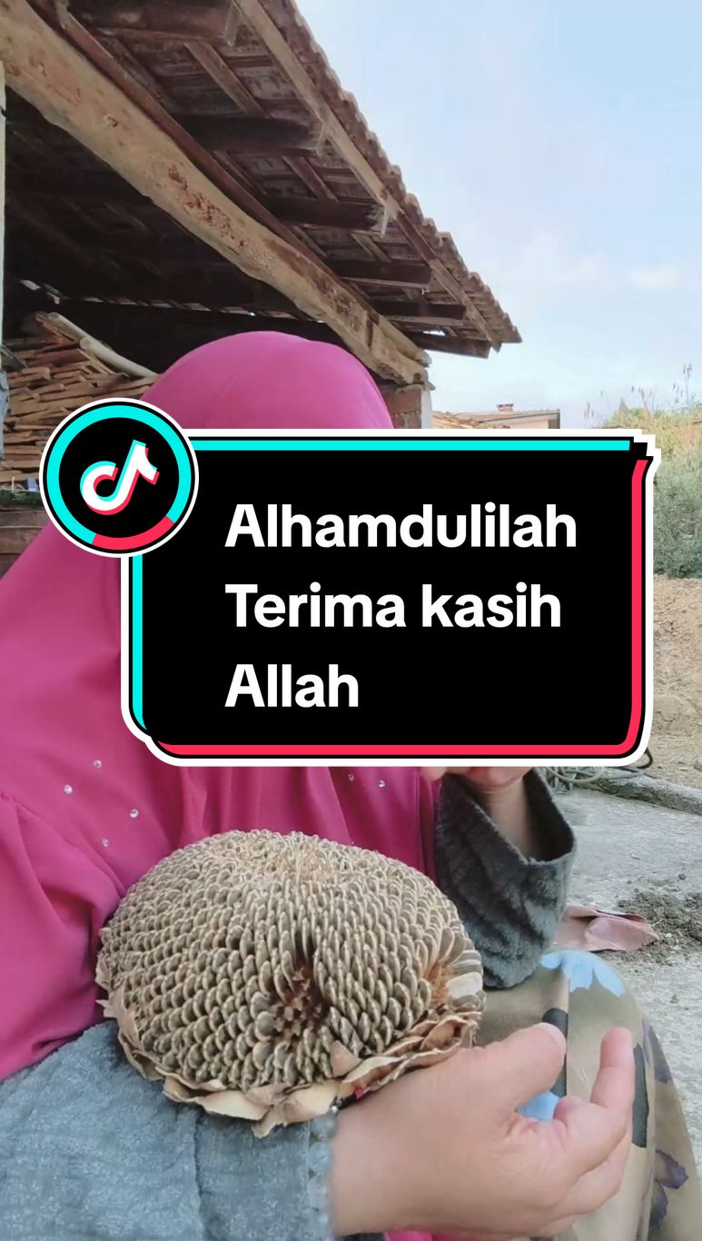 Alhamdulilah insyaAllah tahun depan harap pelan Sy menjadi lah . #omakturkiye #faizahturkiye #tiktoklive #tripturkiye #fyp #tiktokvideo #tiktokviral #fyppppppppppppppppppppppp 