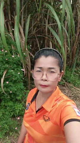 #ยายธิพาเพลิน #คนมักม่วน 