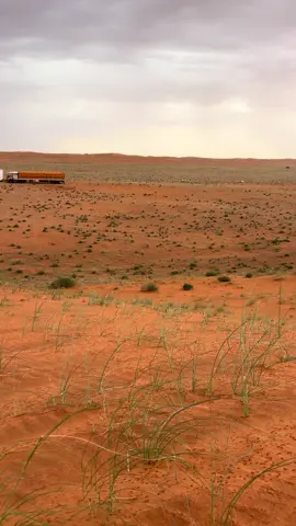 #مشالله #🎖️🐪 #✋🏻 #اشتا #جعل يسقى 💔💔#الشعب_الصيني_ماله_حل😂😂 